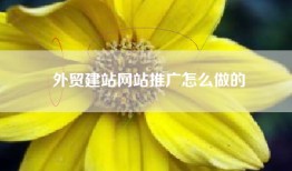 外贸建站网站推广怎么做的