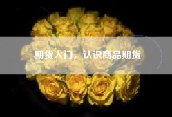 期货入门，认识商品期货