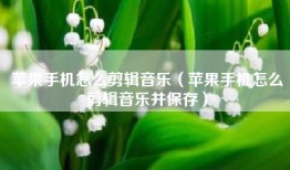苹果手机怎么剪辑音乐（苹果手机怎么剪辑音乐并保存）