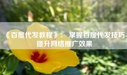 《百度代发教程》： 掌握百度代发技巧-提升网络推广效果