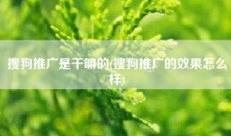 搜狗推广是干嘛的(搜狗推广的效果怎么样)