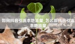 如何抖音引流本地流量_怎么做抖音引流本地流量