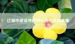 辽源市建设外贸网站的方法和步骤