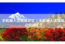 手机输入法清除记忆（手机输入法清除记忆词汇）