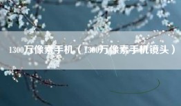 1300万像素手机（1300万像素手机镜头）
