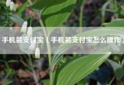 手机装支付宝（手机装支付宝怎么操作）