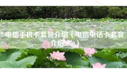 电信手机卡套餐介绍（电信电话卡套餐介绍2020）
