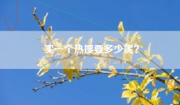 买一个热搜要多少呢？