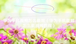 华为手机视频怎么截屏（华为手机截屏怎么截视频教程）