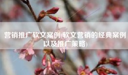 营销推广软文案例(软文营销的经典案例以及推广策略)