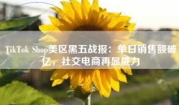 TikTok Shop美区黑五战报：单日销售额破亿，社交电商再显威力