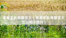 苹果手机屏幕变大（苹果手机屏幕变大怎么缩小图片）