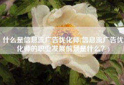 什么是信息流广告优化师(信息流广告优化师的职业发展前景是什么？)
