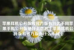 苹果耳机公开版和官方版有什么不同苹果手机公开版是什么意思「苹果耳机公开版和官方版有什么不同」
