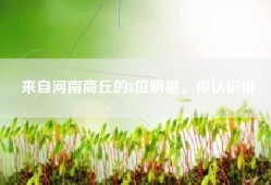 来自河南商丘的8位明星，你认识谁