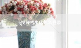 视频号小店怎么登录