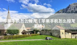苹果手机怎么接龙（苹果手机怎么接龙表格）