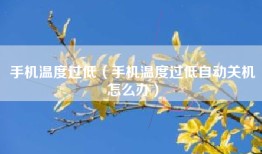 手机温度过低（手机温度过低自动关机怎么办）