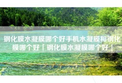 钢化膜水凝膜哪个好手机水凝膜和钢化膜哪个好「钢化膜水凝膜哪个好」