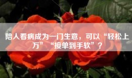 陪人看病成为一门生意，可以“轻松上万”“接单到手软”？