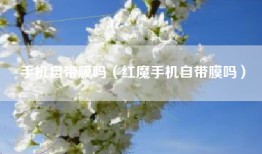 手机自带膜吗（红魔手机自带膜吗）