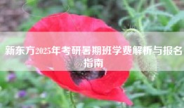 新东方2025年考研暑期班学费解析与报名指南