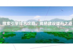 搜索引擎排名攻略，揭秘建设提升之道