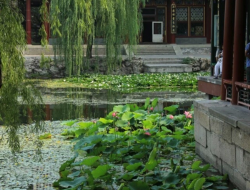 云南旅游的更佳旅行时间：探索淡季与旺季的完美搭配