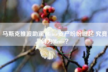 马斯克推波助澜 Meme资产纷纷崛起 究竟何为Meme？
