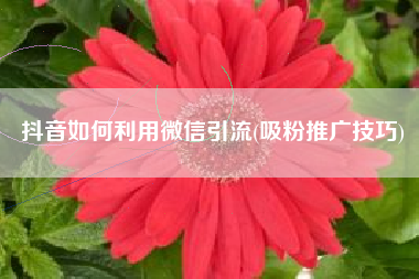 抖音如何利用微信引流(吸粉推广技巧)
