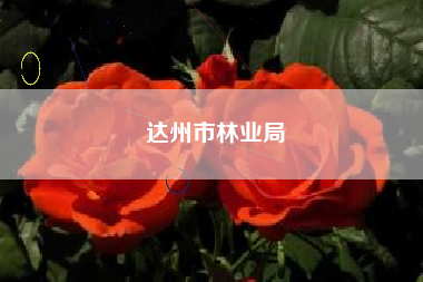 达州市林业局