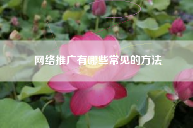 网络推广有哪些常见的方法