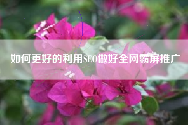 如何更好的利用SEO做好全网霸屏推广