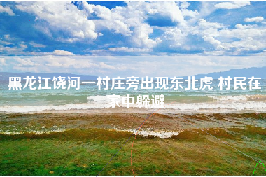 黑龙江饶河一村庄旁出现东北虎 村民在家中躲避