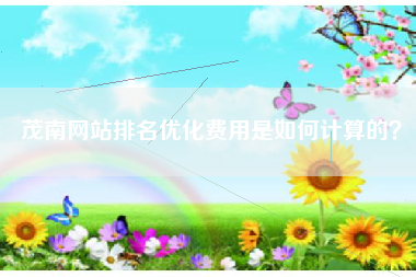 茂南网站排名优化费用是如何计算的？