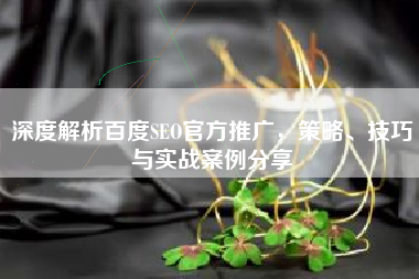 深度解析百度SEO官方推广，策略、技巧与实战案例分享
