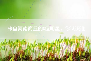 来自河南商丘的8位明星，你认识谁