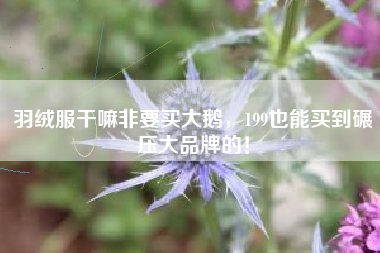 羽绒服干嘛非要买大鹅，199也能买到碾压大品牌的！