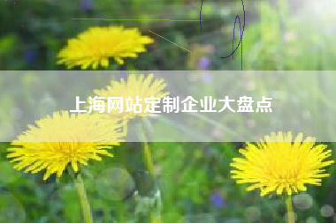 上海网站定制企业大盘点