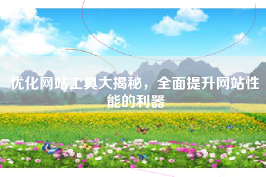 优化网站工具大揭秘，全面提升网站性能的利器