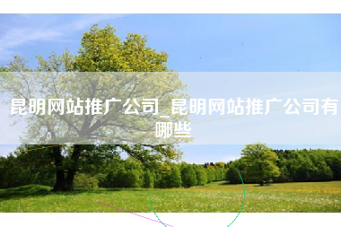 昆明网站推广公司_昆明网站推广公司有哪些