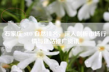 石家庄 SEO 自然排名，深入剖析市场行情与建站推广资讯