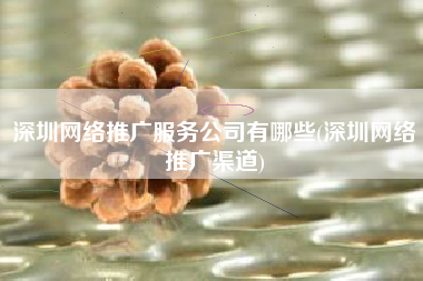 深圳网络推广服务公司有哪些(深圳网络推广渠道)