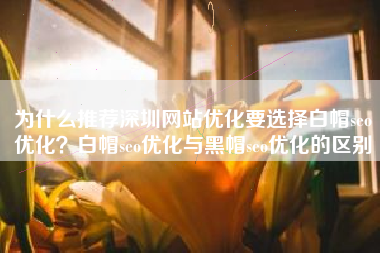 为什么推荐深圳网站优化要选择白帽seo优化？白帽seo优化与黑帽seo优化的区别