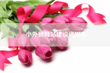 小外贸网站建设资兴市