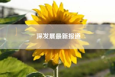 深发展最新报道