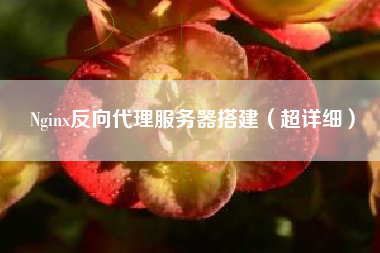 Nginx反向代理服务器搭建（超详细）
