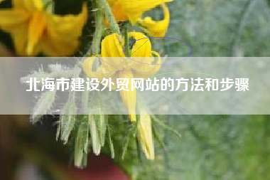 北海市建设外贸网站的方法和步骤