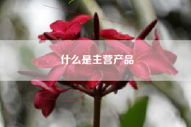 什么是主营产品