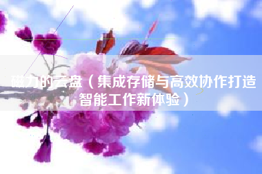 磁力的云盘（集成存储与高效协作打造智能工作新体验）